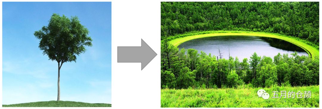 提高看问题的视野