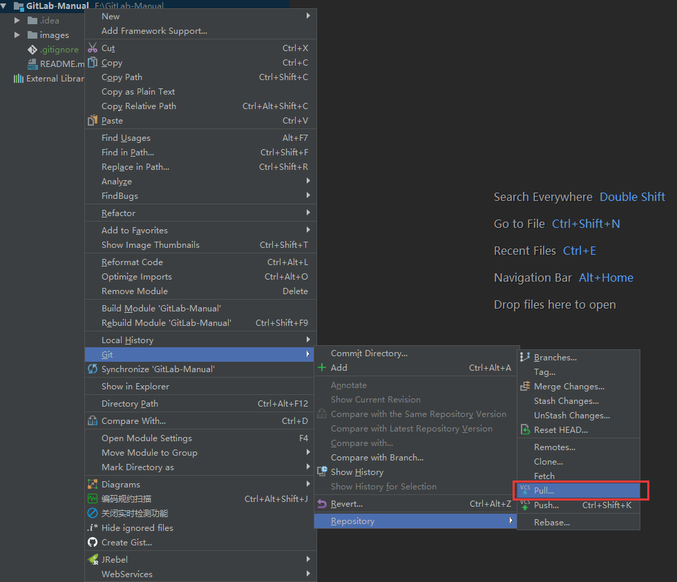 IDEA-pull分支代码